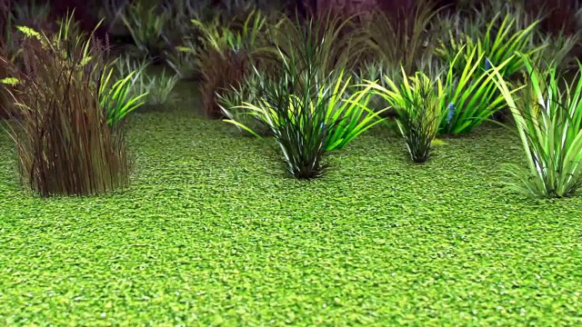 говорят животные 3