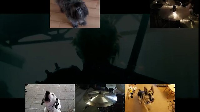 (Dog Acapella) Final Fantasy 7 - Bombing Mission