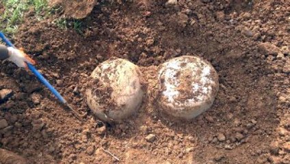 Silvan'da PKK'ya Ait Çok Sayıda Mühimmat Ele Geçirildi