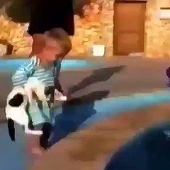 Kitty pulls reversal on baby Funny Video