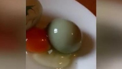 Gri yumurta şaşkınlık yarattı