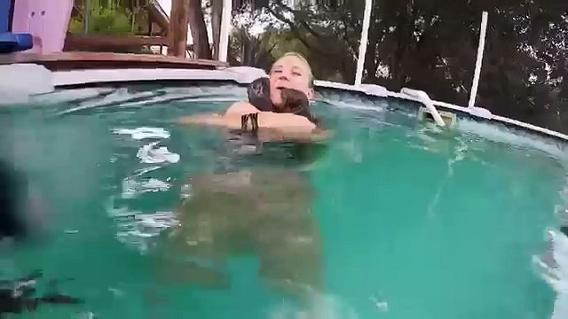 Купание с Выдрами в бассейне, милота