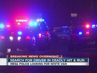 Search for driver in deadly Mesa hit and run
