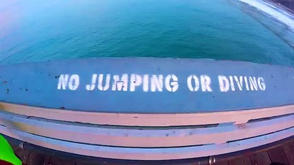 Los 4 Amigos Stance Underwear