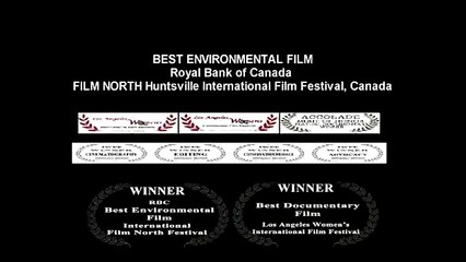 SAVING AMERICAS HORSES 20