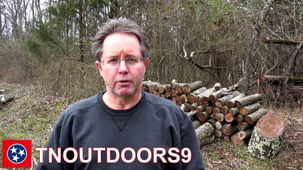 UP AND RUNNING: VIDEO PROJECTS & SOCIAL MEDIA