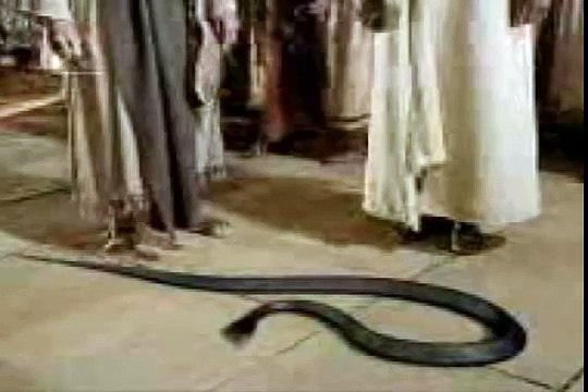 Hazrat musa alaihis salam aasa saanp me badal diya By Maulana Tariq Jameel