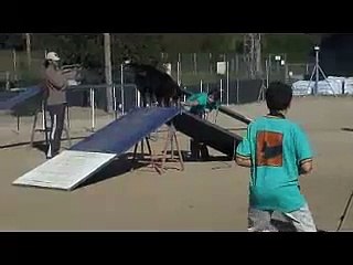 3ª. jornada lliga agility 2006-2007 yera