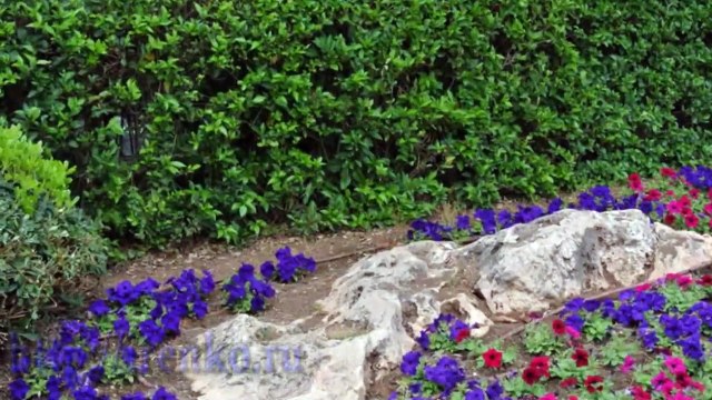 Парк Ротшильда. Сады Ротшильда. Путешествие в Израиль. Выпуск 1