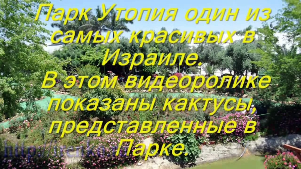 Путешествие по Израилю. Парк Утопия. Кактусы. Релакс