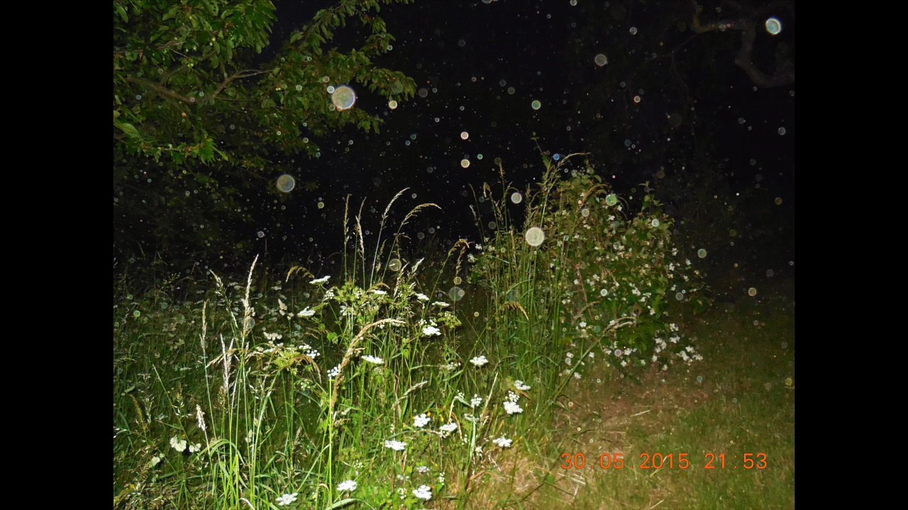 ORBES MAGNIFIQUES 2015