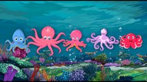 Octopus Finger Family Song, Children Songs and Baby Songs done by Kids Crazy Rhymes