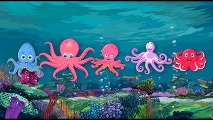 Octopus Finger Family Song, Children Songs and Baby Songs done by Kids Crazy Rhymes