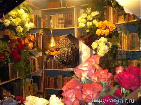 Выставка цветов Хайфа Израиль. Розы, Улицы Парижа