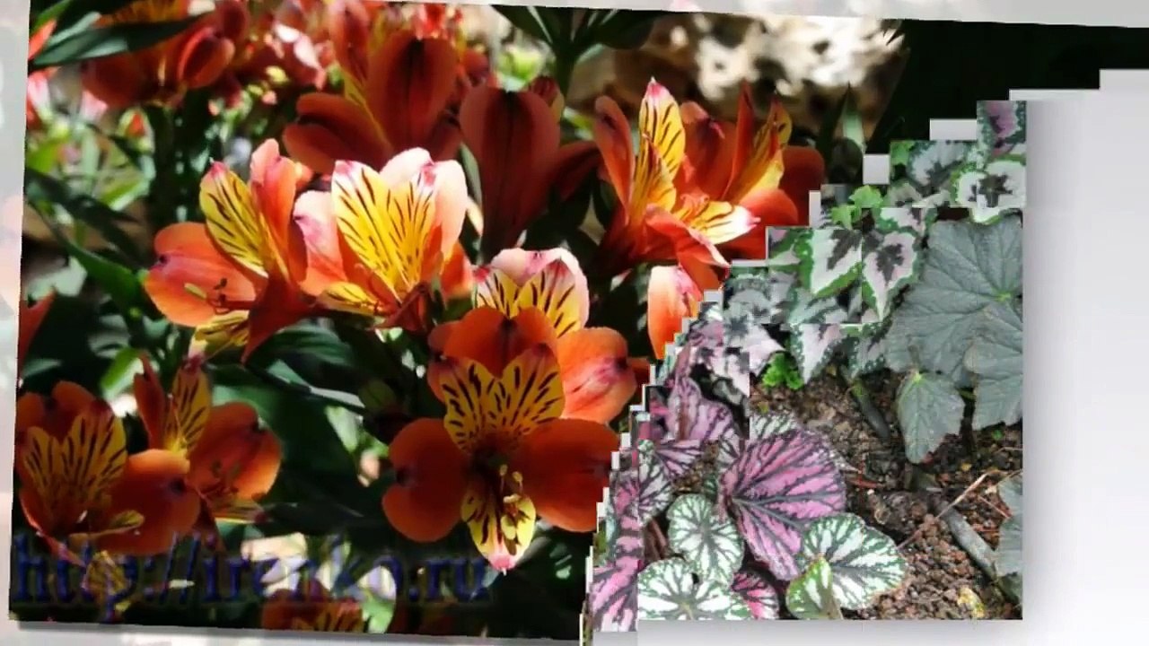 Путешествие по Израилю. Парк Утопия. Природа. Релакс