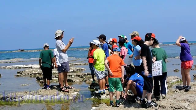 Урок природоведения в израильской школе