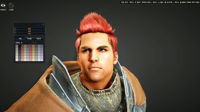 Le guerrier de Black Desert Online