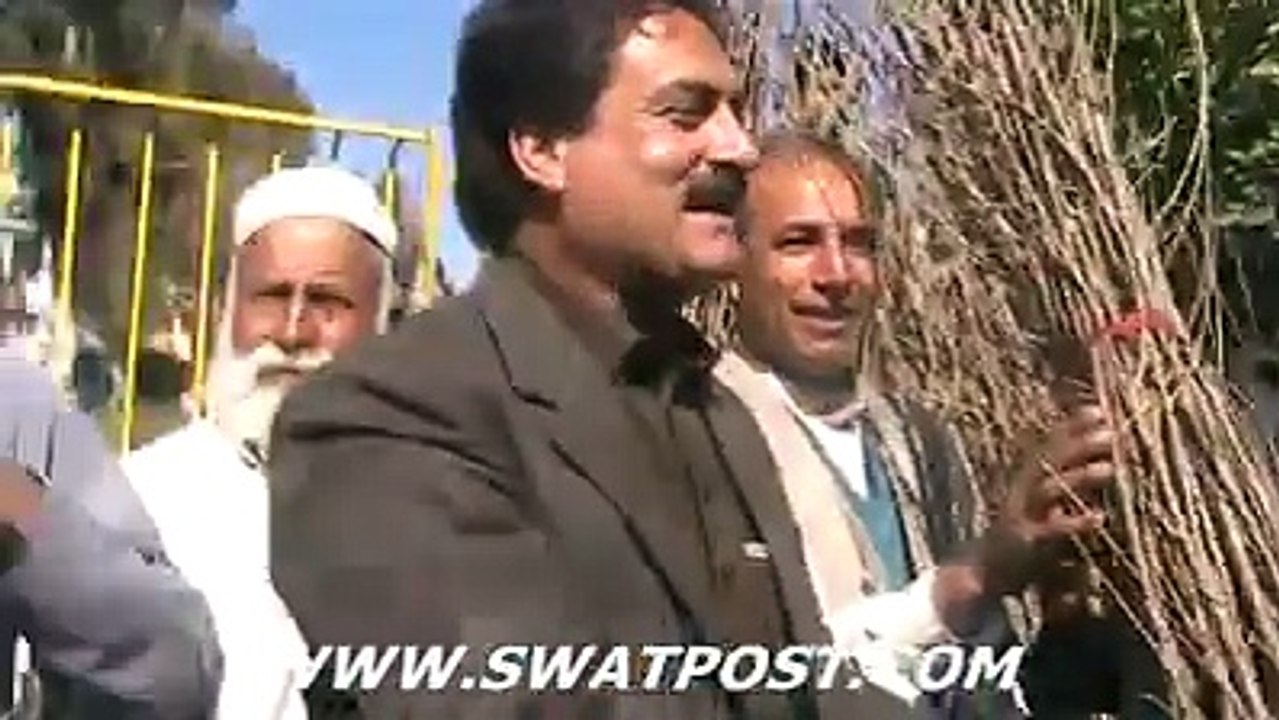 tree plantation campaign in kpk