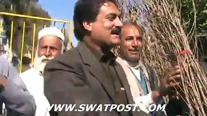tree plantation campaign in kpk