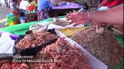 Брачная одиссея— KuTstupid