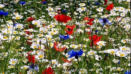 В гармонии с природой и собой, вы, заходите-обретете здесь покой...