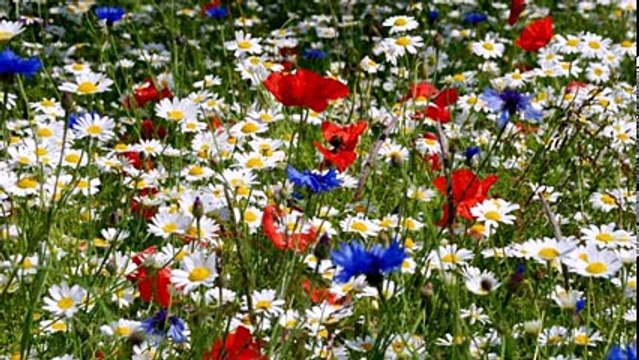 В гармонии с природой и собой, вы, заходите-обретете здесь покой...