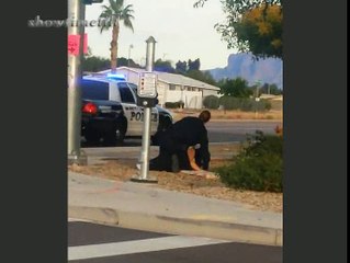 15세 여자의 얼굴을 가격하는 경찰관