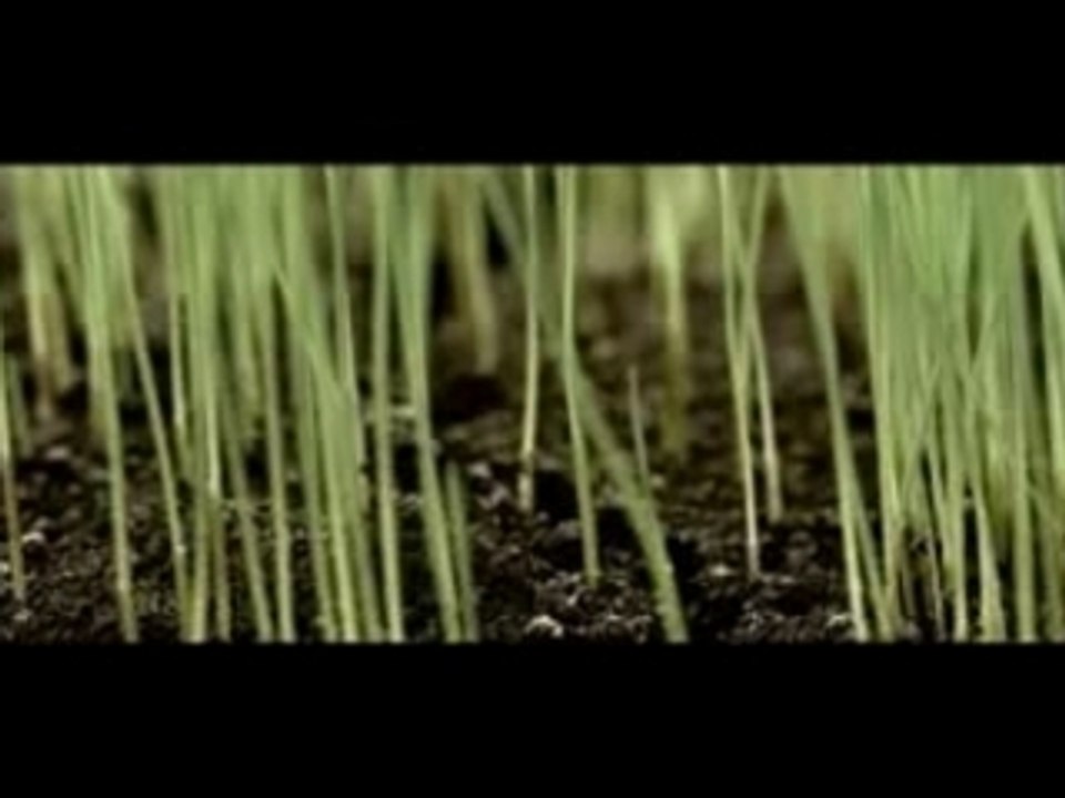 Linkin Park What Ive Done