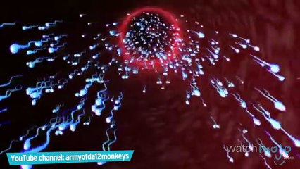 Top 5 Facts About Male Birth Control Video