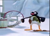 Pingu: Smelly Pingu