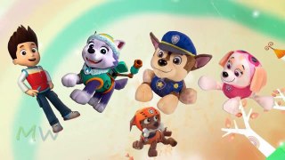 Paw Patrol Finger Family | Finger Family Song | Animation Nursery Rhymes