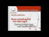 Piccoli Vegetali - rosa a petali aperti con rapa rossa CD13