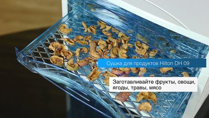 Сушка для овощей и фруктов Hilton DH 09