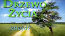 Zaufaj Panu już dziś - Drzewo Życia