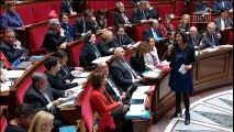 Yves Goasdoué- question au gouvernement - plan d'urgence pour l'emploi