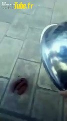 Une blague de merde hahahaha