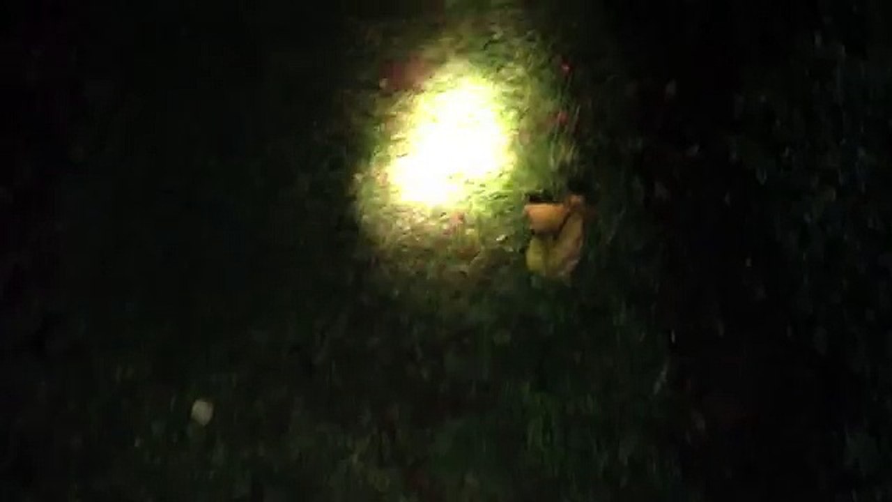 Cooking With Frank Trailer