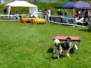 P1000369Spok gpf Villeneuve