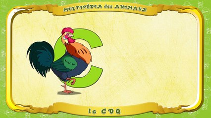Multipédia des animaux La lettre C le Coq