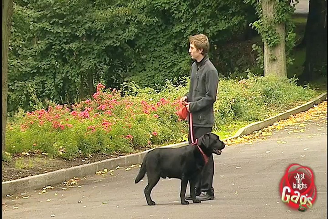 Fart Dog Prank