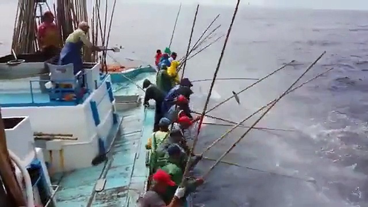 Böyle Balık Avı Görmediniz At Çek Video