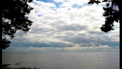 Финский залив