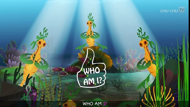 Leafy Sea Dragon Nursery Rhyme ChuChuTV Sea World Animal Songs & Nursery Rhymes For Children