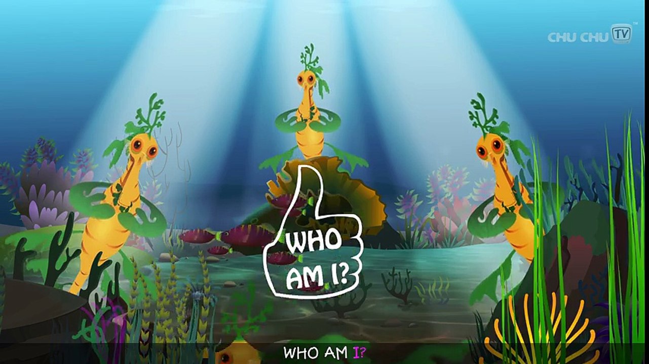 Leafy Sea Dragon Nursery Rhyme   ChuChuTV Sea World   Animal Songs & Nursery Rhymes For Children