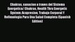 Read Chakras sanacion a traves del Sistema Energetica/ Chakras Health Thru Energetic System: