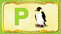 la Multipedia de animales. Letra P el Pingüino