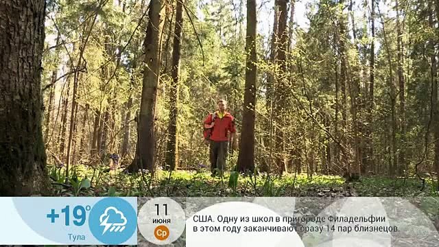 Мини-печь из консервной банки