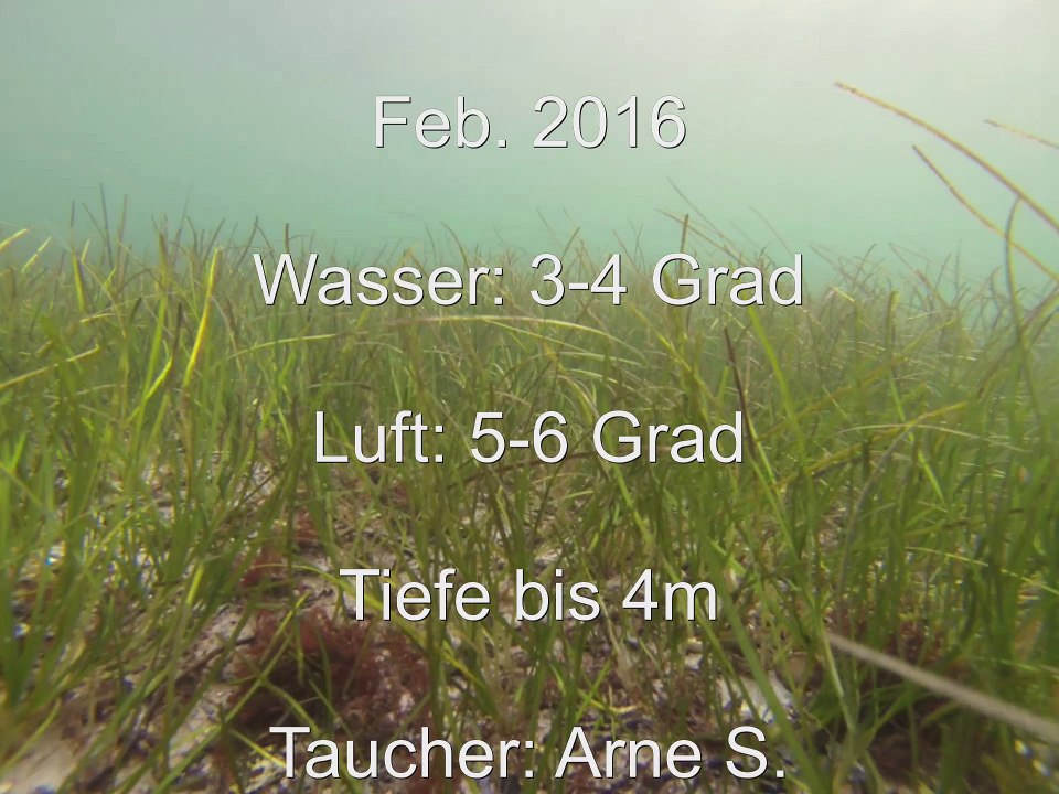 Fehmarn Tauchen Südstrand