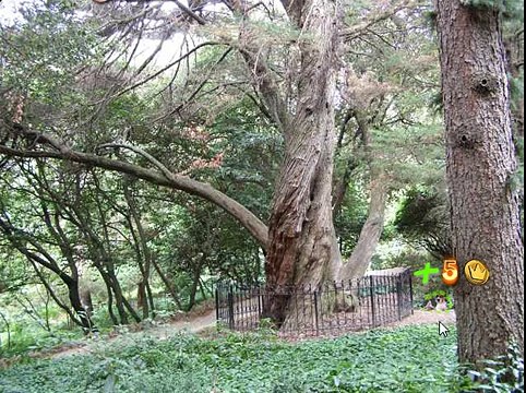 Игра Найди собаку 181, 182, 183, 184, 185 уровень - ВКонтакте - Ответы, подсказки, прохождение