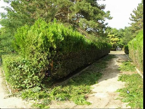 Игра Найди собаку 171, 172, 173, 174, 175 уровень - ВКонтакте - Ответы, подсказки, прохождение